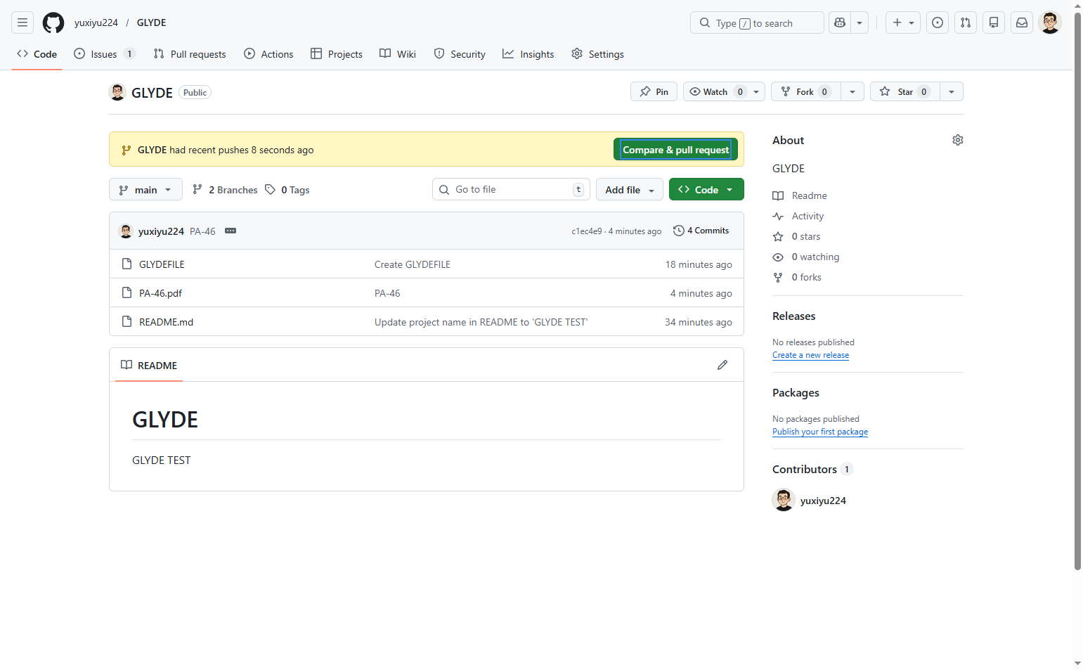 Create a pull request