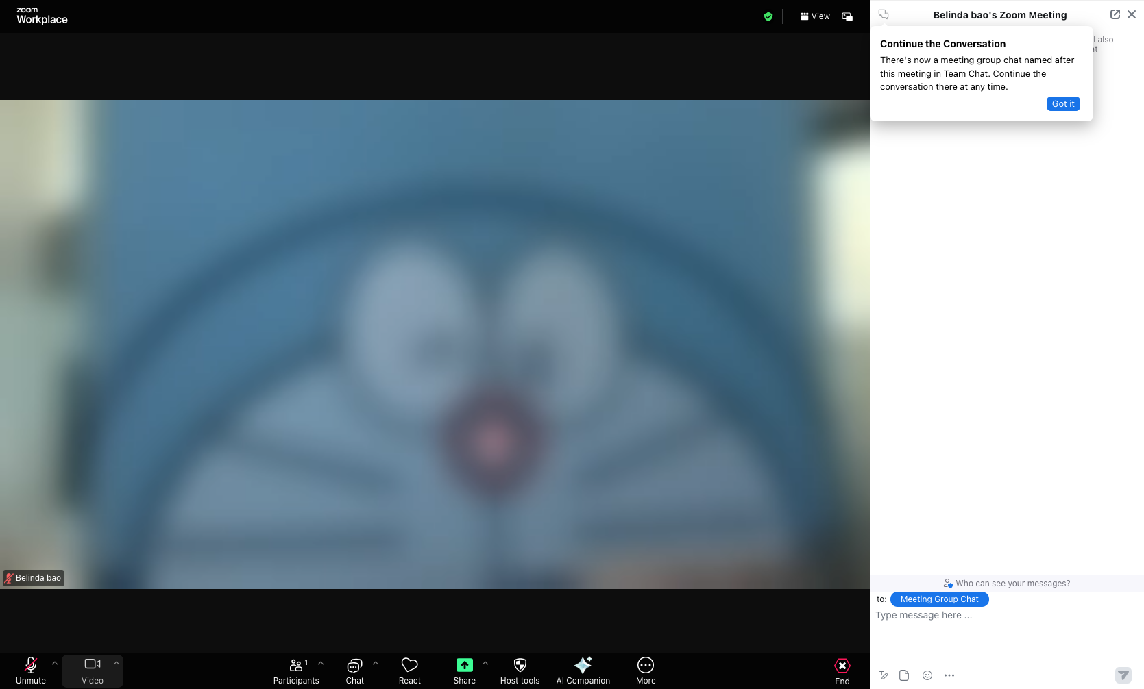 Stop your video